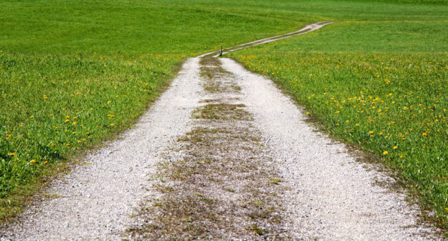 chemin au milieu de champ à Thouars