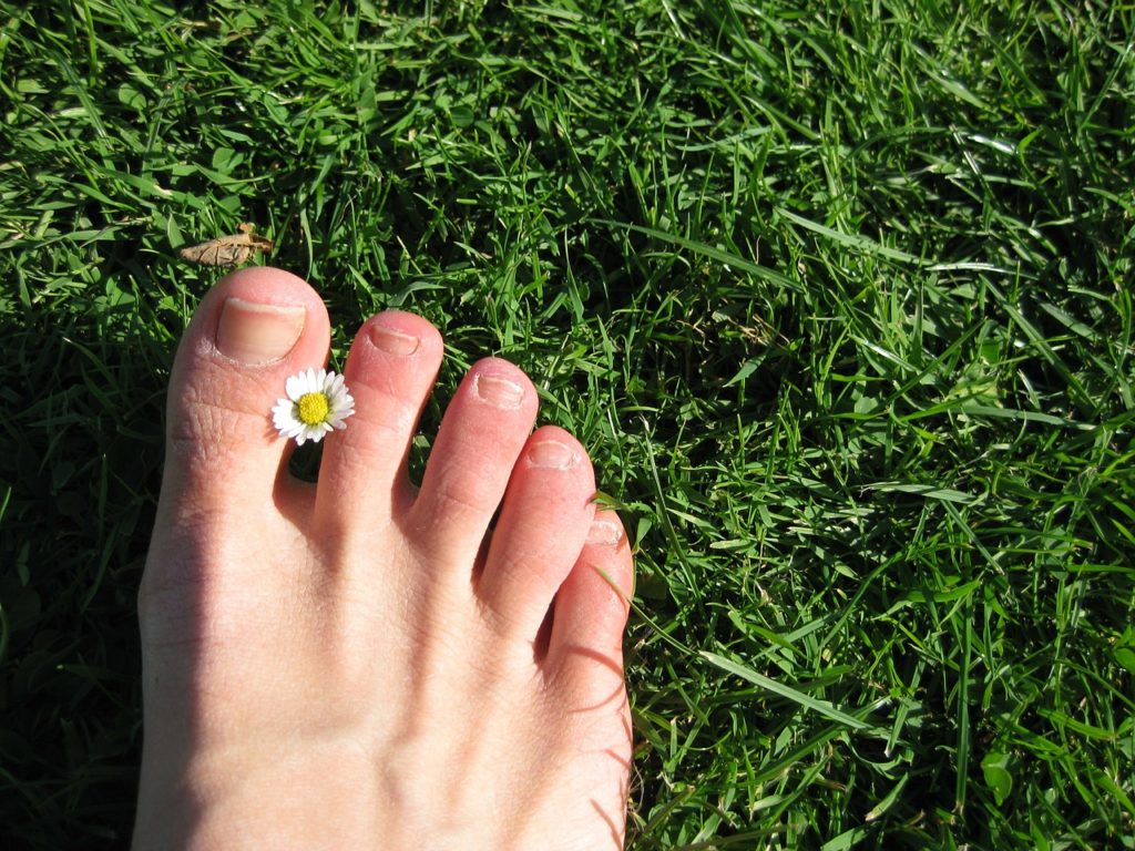 Pied nue avec fleur sur herbe