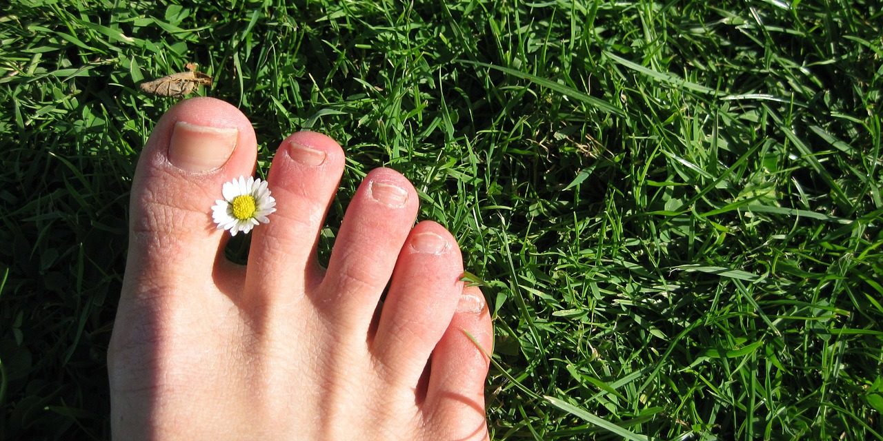 Pied nue avec fleur sur herbe